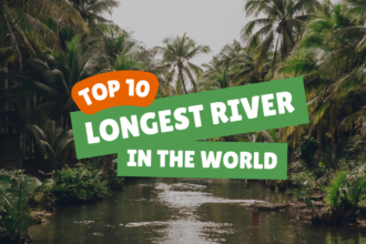 Top 10 Longest Rivers in The World